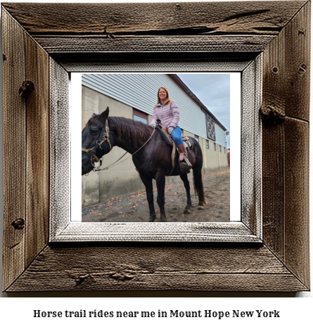 horse trail rides near me in Mount Hope, New York